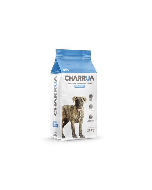 Charrua Cachorros 8 KG